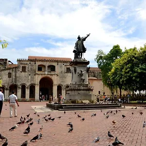 Palmera Xviii Santo Domingo